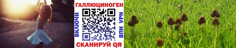 Псилоцибиновые грибы Magic Shrooms Дальнереченск
